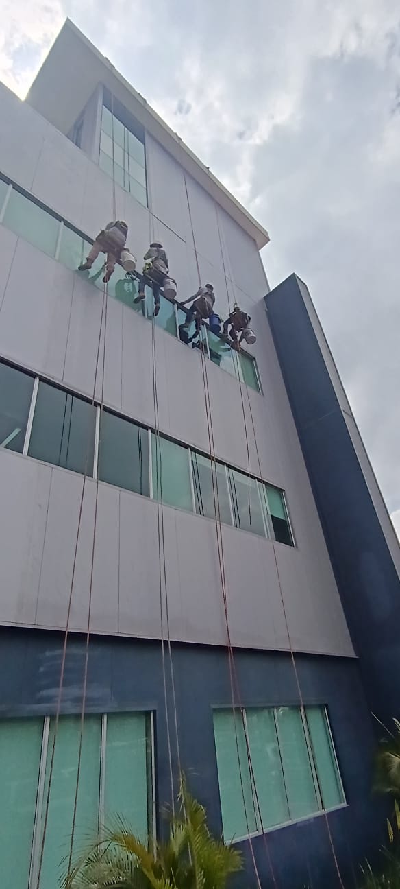Trabajo 4